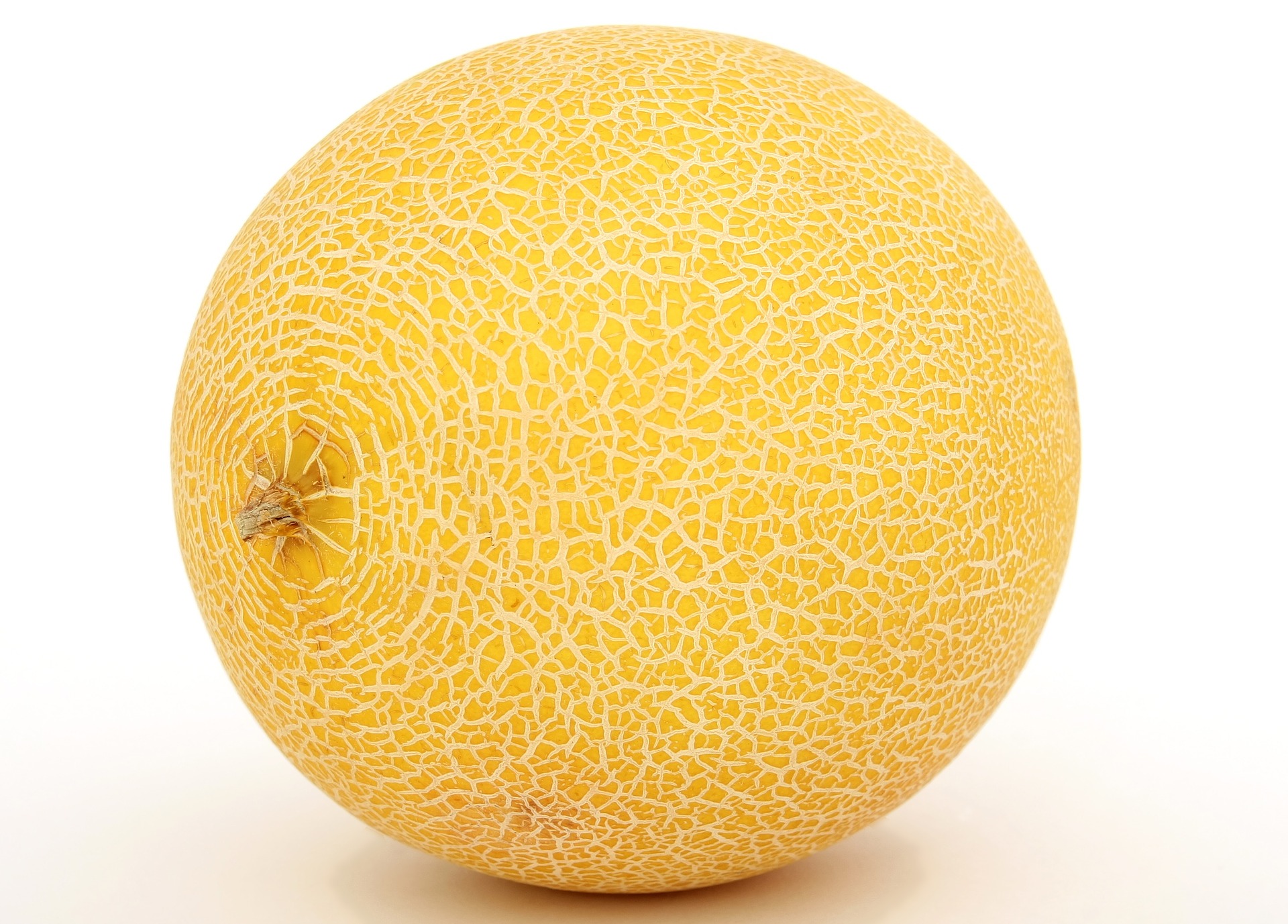 Melon