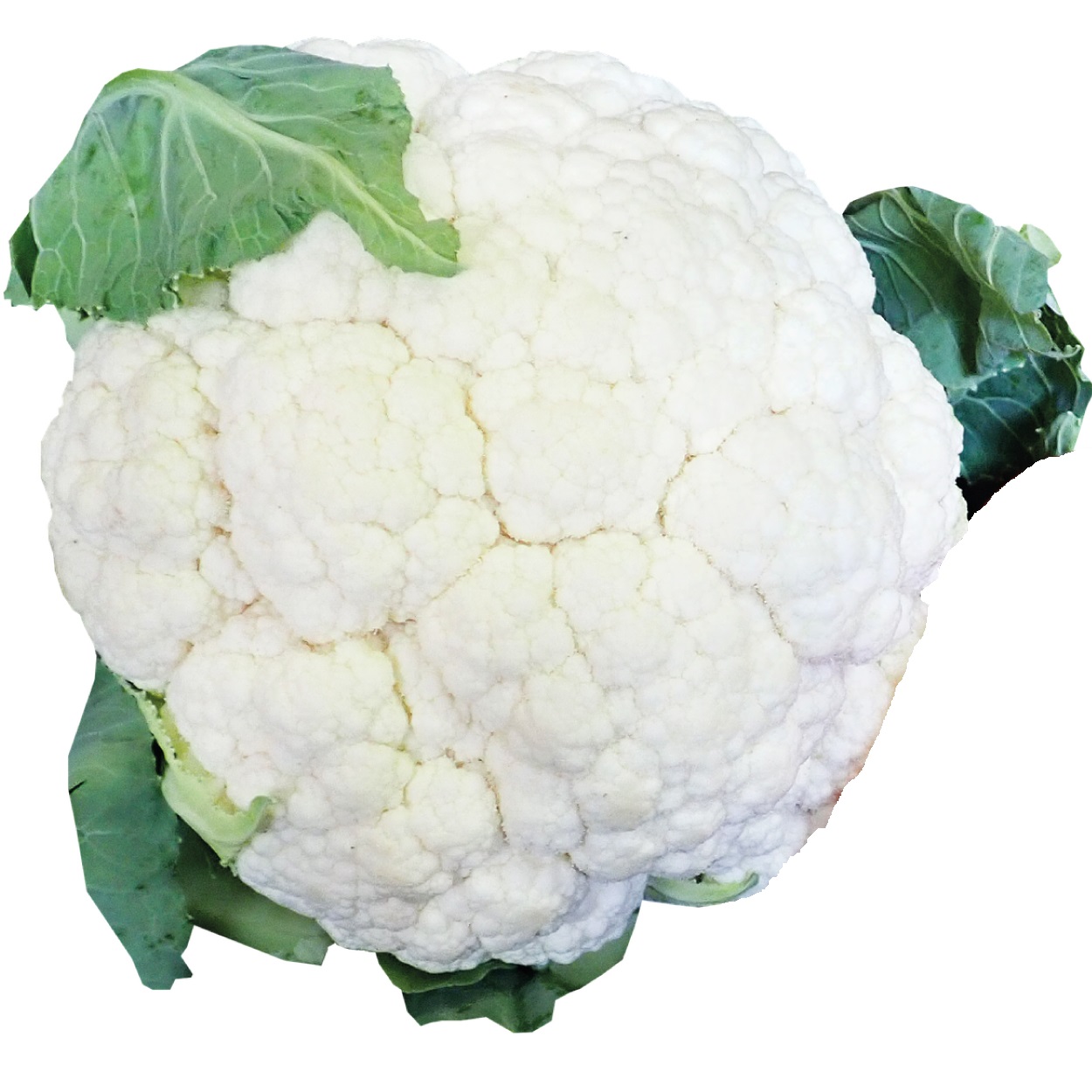 Cauliflower