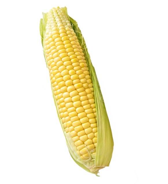 Corn