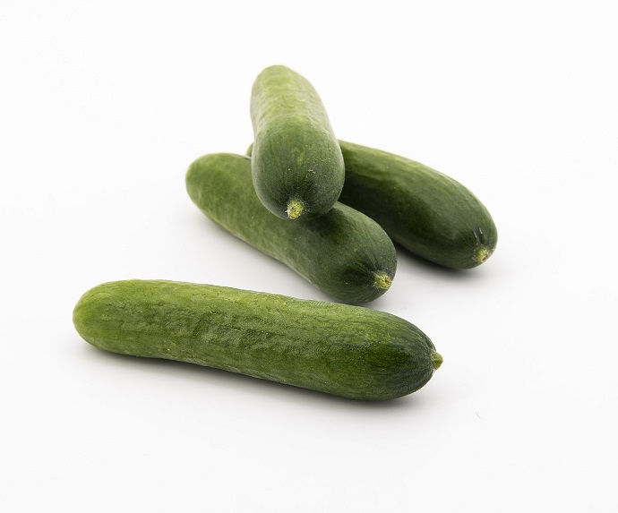 Cucumber