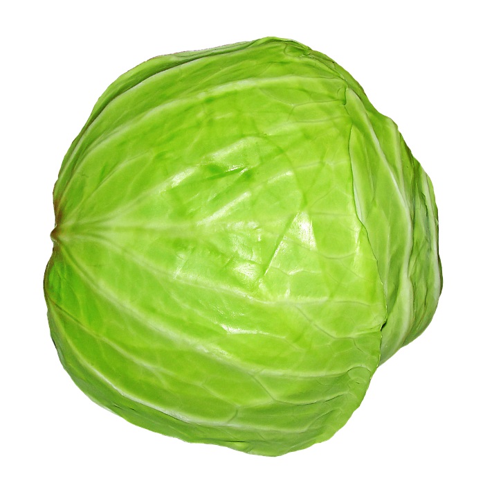 Cabbage​